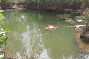 Phát hiện hai bà cháu chết đuối dưới ao trong khuôn viên chùa