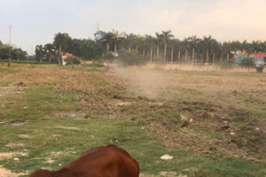 TP HCM: Cụ già cầu cứu vì bị người lạ “dụ” ký giấy tờ nhằm chiếm đất