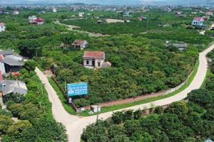 Công ty Xây dựng giao thông 17 trúng gói thầu 63 tỷ đồng tại Lục Ngạn