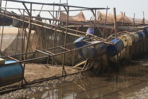 Xót lòng lồng nuôi cá bị trơ đáy trên sông Đà