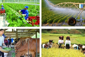 Chính sách mới hỗ trợ bảo hiểm nông nghiệp