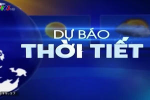 Dự báo thời tiết ngày 30/01/2016