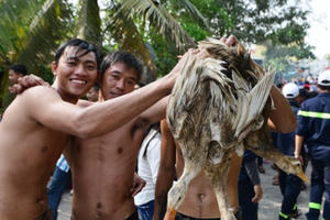 Bắt vịt ở Lễ hội Làm Chay