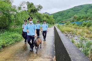 Ngành Hải quan đấu tranh hiệu quả với tội phạm ma túy