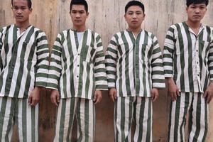 Gia Lai: Bắt giam nhóm đối tượng khai thác gỗ rừng trái phép