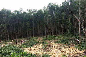 Người làm "tác oai tác quái" khiến ông chủ phải cầu cứu công an