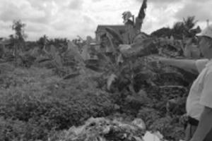 Vụ bí thư, chủ tịch HĐND xã bị tố sai phạm ở Tứ Kỳ, Hải Dương: Phải sớm xử lý dứt điểm