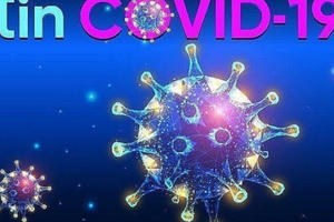 Cả nước ghi nhận thêm 8 ca mắc mới Covid-19 Cả nước ghi nhận thêm 8 ca mắc mới Covid-19