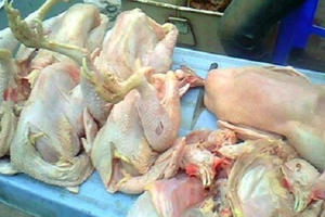 Nhận biết thực phẩm sạch: Gà sạch và gà nhuộm hóa chất