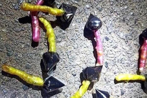 Đắk Nông: Ăn nhầm bả chó, 1 cháu bé tử vong