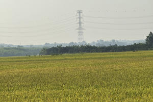 Phó chủ tịch UBND tỉnh Đồng Nai làm Chủ tịch Hội đồng xét, công nhận nông thôn mới