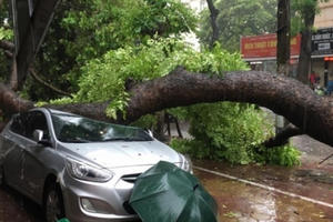 Thiệt hại nặng nề từ cơn bão số 1: Công tác dự báo "có vấn đề"?