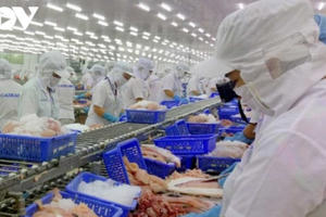 Xuất nhập khẩu Việt Nam 2020 ấn tượng qua 1 năm vượt khó