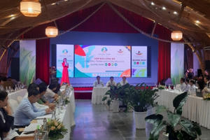 Quảng Nam: Kích cầu du lịch với chủ đề “Quảng Nam - Cảm xúc mùa hè”