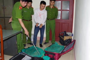 Hà Nam: Bắt giữ đối tượng vận chuyển 130kg rắn hổ mang