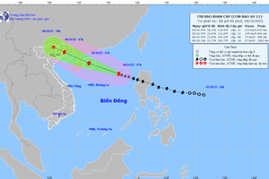 Triển khai đồng bộ các biện pháp ứng phó hình thái thiên tai kép