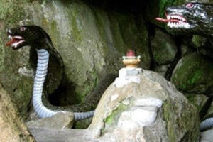 Giải mã biểu tượng văn hóa phần 8: Hình tượng rắn trong tín ngưỡng người Việt Giải mã biểu tượng văn hóa phần 8: Hình tượng rắn trong tín ngưỡng người Việt