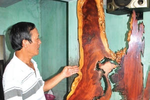 Gốc củi bỏ đi trở thành tác phẩm gỗ lũa nghệ thuật