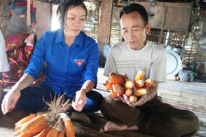 Phó Thủ tướng Trương Hòa Bình dự Hội nghị tổng kết Dự án đưa 600 trí thức trẻ