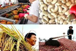 Thách thức lớn với nông sản Việt