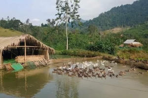 Nghệ An: Hơn 2,5 tỷ đồng nguồn vốn đến các đối tượng khó khăn do Covid-19