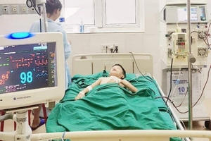 Bị ong vò vẽ đốt đến hơn 100 nốt, cháu bé được cứu sống một cách thần kỳ