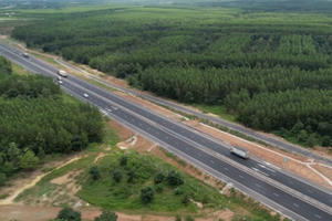 Mỏi mòn đòi chủ đầu tư cao tốc Dầu Giây - Phan Thiết trả lại rừng