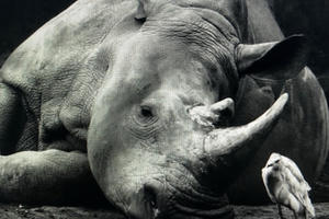 Kết quả cuộc thi ảnh quốc tế Cuba Salon 2020. Kết quả cuộc thi ảnh quốc tế Cuba Salon 2020.