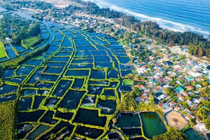 Quảng Ngãi cần ưu tiên ngành chế biến, chế tạo, công nghiệp công nghệ cao