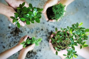 7 chính sách quan trọng tác động mạnh tới xã hội