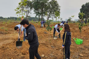Ngành Giáo dục đẩy mạnh “Tết trồng cây đời đời nhớ ơn Bác Hồ” Xuân Giáp Thìn 2024