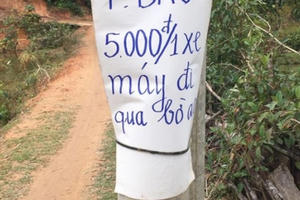 Điện Biên: Du khách tham dự lễ hội hoa anh đào phải nộp phí khi đi qua BOT “bờ ao”