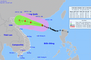 Thủ tướng Chính phủ ban hành Công điện ứng phó với bão số 1