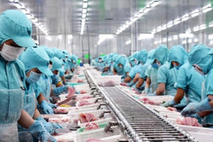 8 tỉnh có kim ngạch xuất khẩu trên 10 tỷ USD là những tỉnh nào