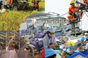 Một số tình hình xã hội trong tháng 1/2022