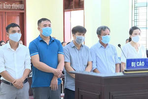 Thanh Hóa: Tuyên án 15 năm 6 tháng tù cho các cán bộ biến lúa thành hoa ly