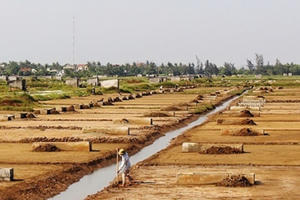 Dân tố cáo, “tòi” sai phạm của HTX nghề muối ở huyện Diễn Châu