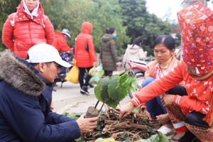 Quảng Ninh: Độc đáo phiên chợ cuối năm nơi miền biên viễn Bình Liêu