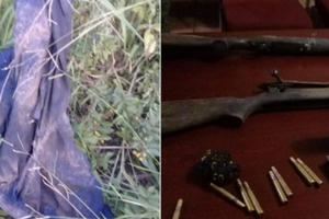 Nghi phạm săn trộm tê giác bị voi giết và đàn sư tử xâu xé kinh hoàng