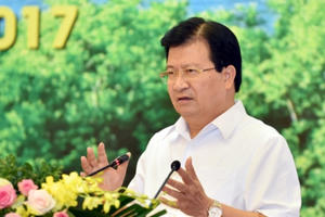 Phó Thủ tướng Trịnh Đình Dũng chủ trì Hội nghị về phát triển lâm nghiệp