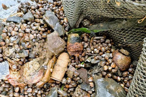 Ngư dân phát hiện lựu đạn trên sông Đồng Nai