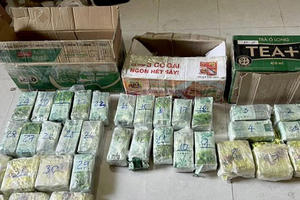 Triệt phá đường dây vận chuyển gần 300kg ma túy từ Lào về Việt Nam