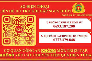 Bị ‘bắt cóc online’, 2 sinh viên mất hàng tỷ đồng