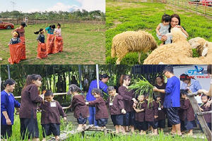 Du lịch hè: Cha mẹ đưa con “về quê làm nông dân”