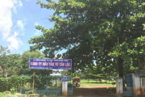 "Cuộc chiến" 26 năm âm thầm trên mảnh đất đau thương "Cuộc chiến" 26 năm âm thầm trên mảnh đất đau thương