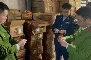 Thu giữ 14 tấn thực phẩm không rõ nguồn gốc chuẩn bị tung ra thị trường