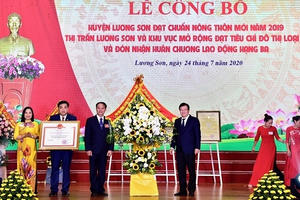 Phó Thủ tướng Trịnh Đình Dũng dự lễ công bố huyện nông thôn mới tại Hòa Bình