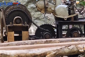 Yên Bái: Nhanh chóng truy vết, xử lý dứt điểm vụ phá rừng tại huyện Văn Yên