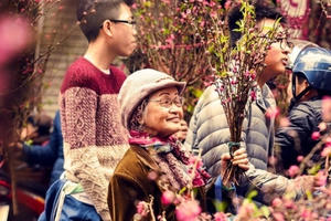 Lời chúc Tết Kỷ Hợi ý nghĩa tặng người thân, bạn bè