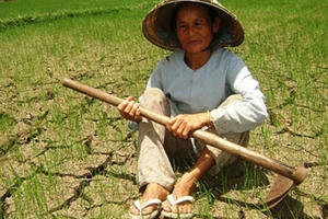 Nam Trung Bộ đối phó với hạn hán: Chật vật tìm nguồn nước cho dân
